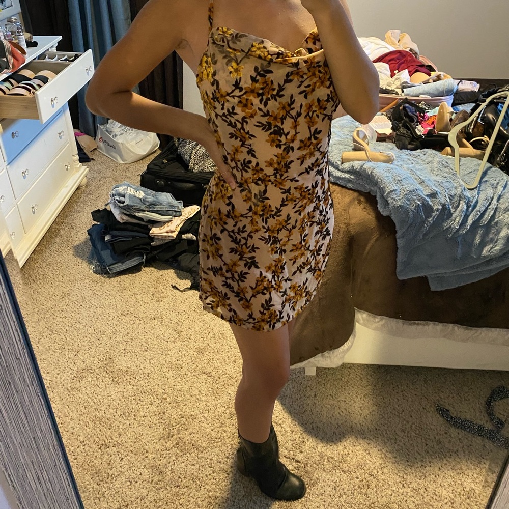 Tiger mist NWT dress